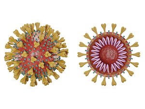 3D corona virus