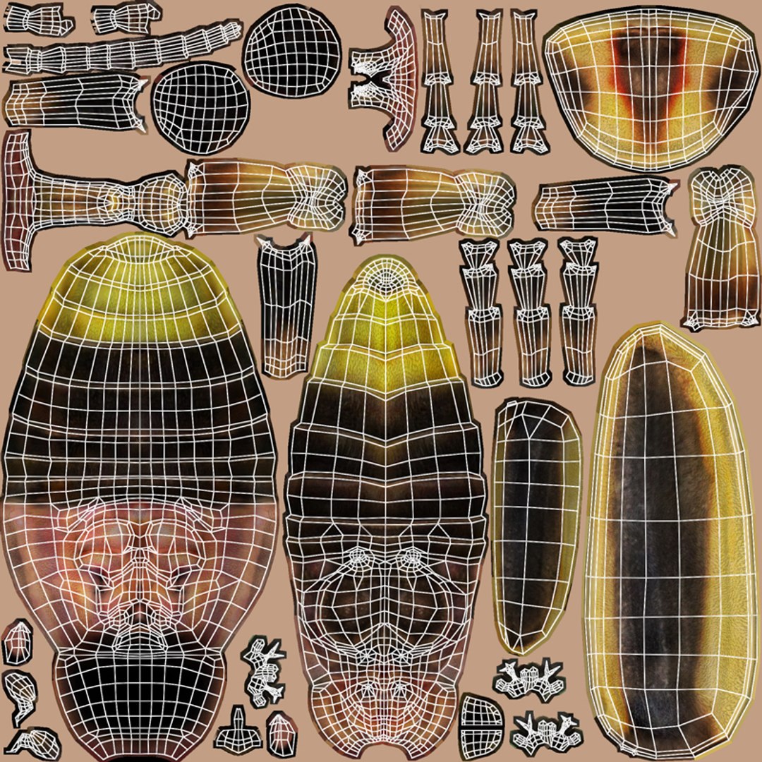 3D Firefly model https://p.turbosquid.com/ts-thumb/Qv/N8ZnSV/DN/firefly_uv/jpg/1708662267/1920x1080/fit_q87/b76f0798edb14149379baab4b76f2223f4ae7f65/firefly_uv.jpg