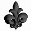 fleur lis max