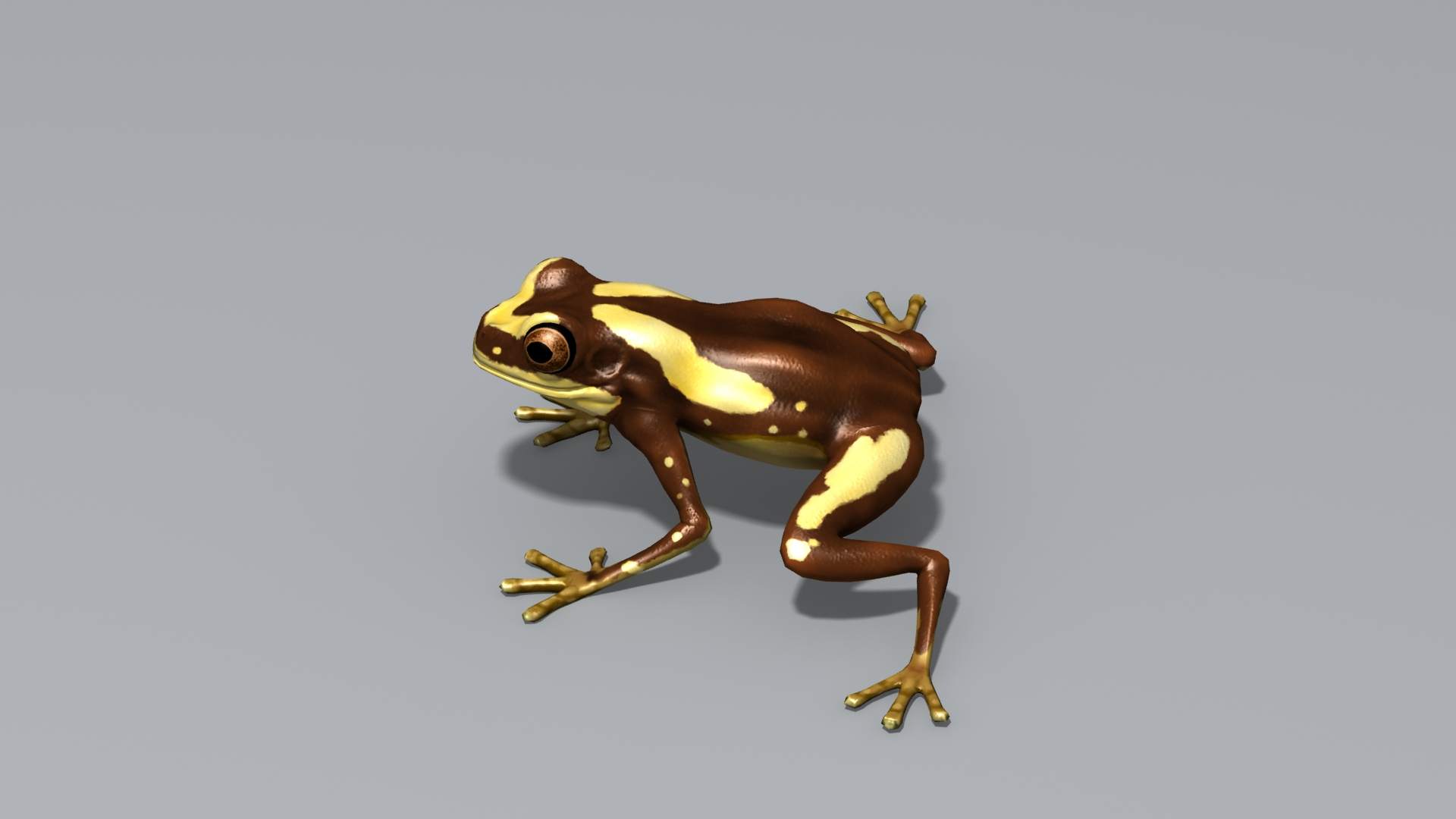 Clown Frog Model - TurboSquid 2200837