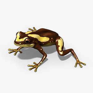 Clown Frog model