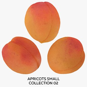 Apricots Small Collection 02 - 3 models RAW Scans 3D model