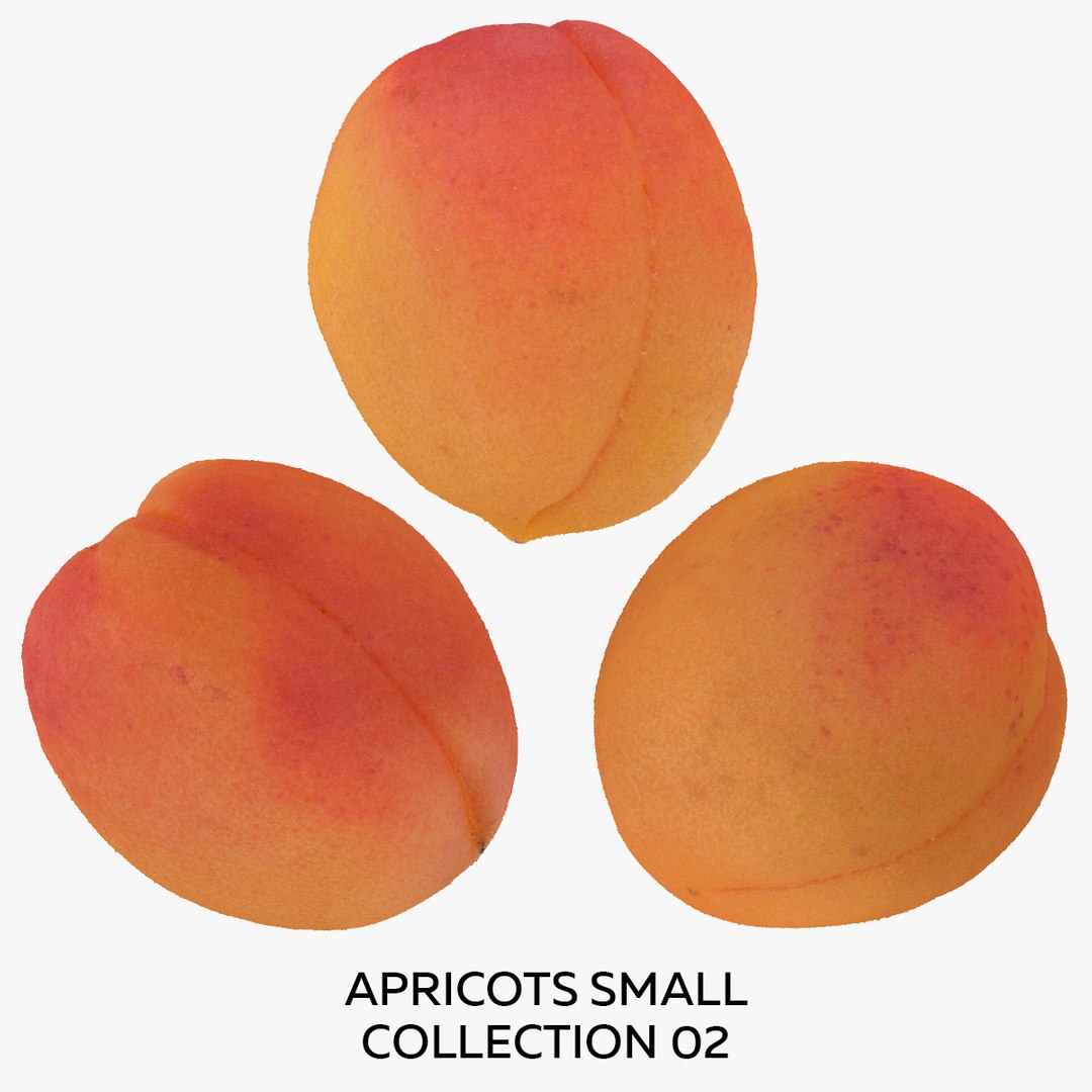 Apricots Small Collection 02 - 3 models RAW Scans 3D model - TurboSquid ...