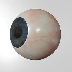 human eyeball eyes 3d blend