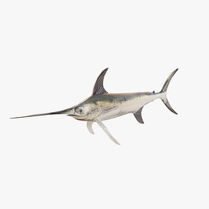 Swordfish - Rigged and Animated PBR