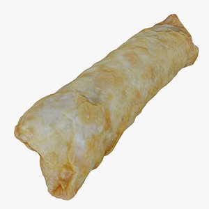 Egg Roll Eggroll Photogrammetry Remeshed 3D model
