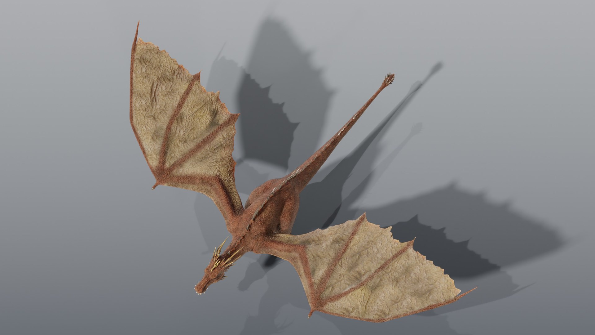 3D Dragon Wyvern - Static PBR https://p.turbosquid.com/ts-thumb/Qw/H2gtF0/IE/06_dragonstatic_06_top/jpg/1791928568/1920x1080/fit_q87/00bdea52f92c25f3bad1f08cac38b943033d6b2c/06_dragonstatic_06_top.jpg