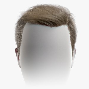 Realtime Mens Hairstyle 3
