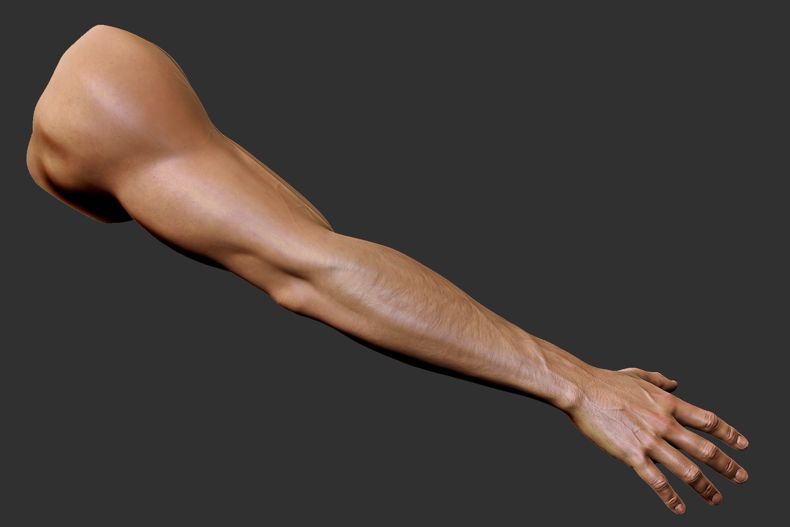 3D Realistic Male Arm Hand Model TurboSquid 1468803