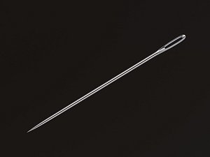 Needle