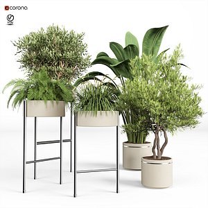indoor plant set 08