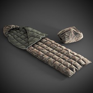 Sleeping bag