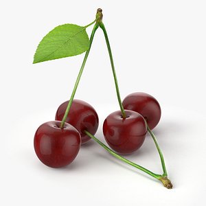 realistic cherries real fruit 3d model