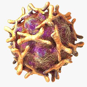Echovirus