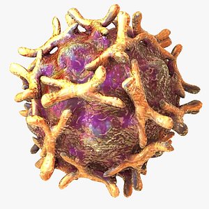 Echovirus