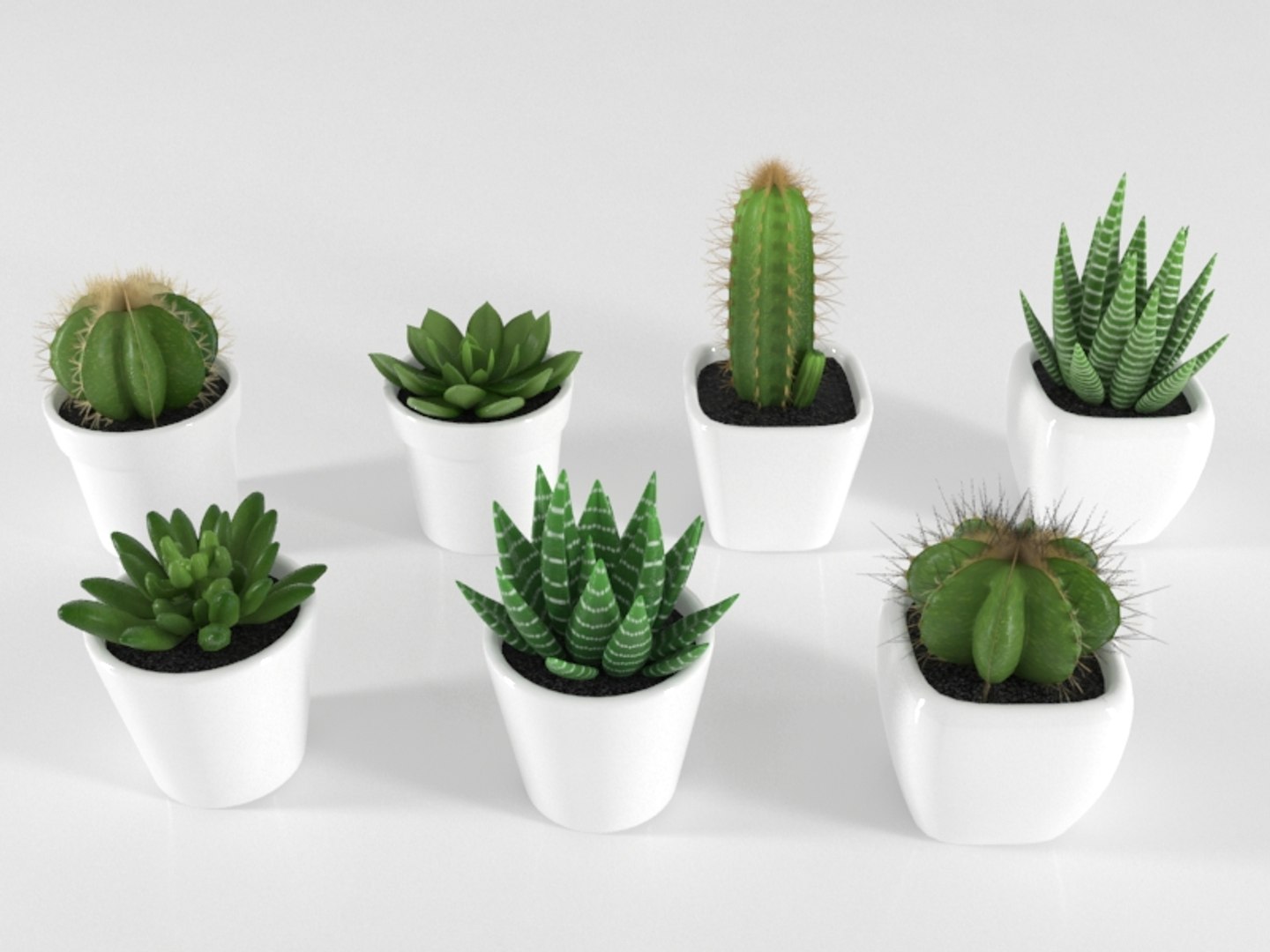 3D succulente cactus pot plant model https://p.turbosquid.com/ts-thumb/Qx/4FjUhK/KXJzzwNu/succulente02/jpg/1557407915/1920x1080/fit_q87/4eec1775b0cc9c6d6c69165b74aadcff1ec3f736/succulente02.jpg