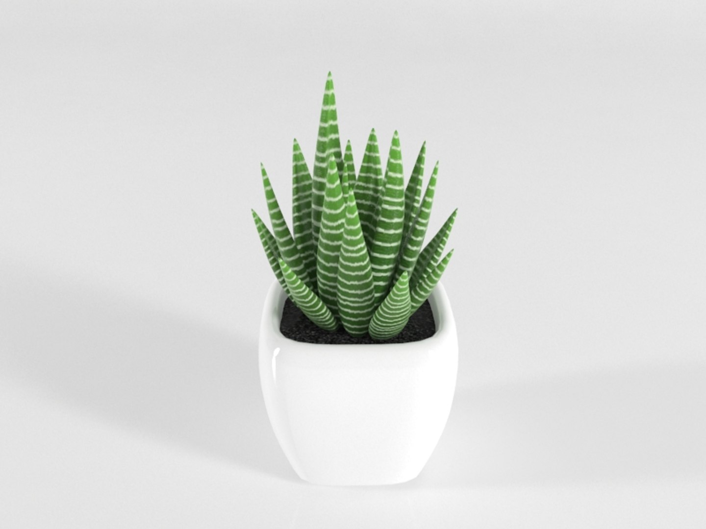 3D succulente cactus pot plant model https://p.turbosquid.com/ts-thumb/Qx/4FjUhK/M7nrgaWZ/succulente10/jpg/1557407915/1920x1080/fit_q87/4e295f4ef2fea0cf5857a7e6a4664990406fbdb6/succulente10.jpg