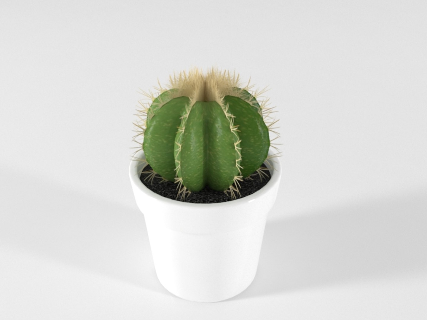 3D succulente cactus pot plant model https://p.turbosquid.com/ts-thumb/Qx/4FjUhK/RuDH6Ljz/succulente07/jpg/1557407915/1920x1080/fit_q87/70aa448abb4585e0c44977102a1594b40261781e/succulente07.jpg
