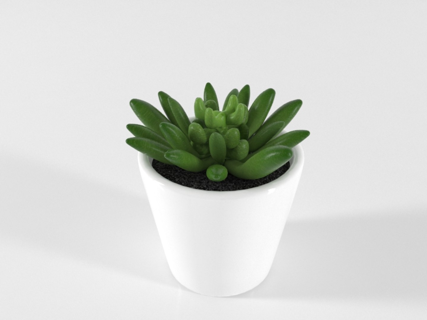 3D succulente cactus pot plant model https://p.turbosquid.com/ts-thumb/Qx/4FjUhK/m8irJrq1/succulente04/jpg/1557407915/1920x1080/fit_q87/050c9486e5244638cd02a06882af5cfd9e287f35/succulente04.jpg