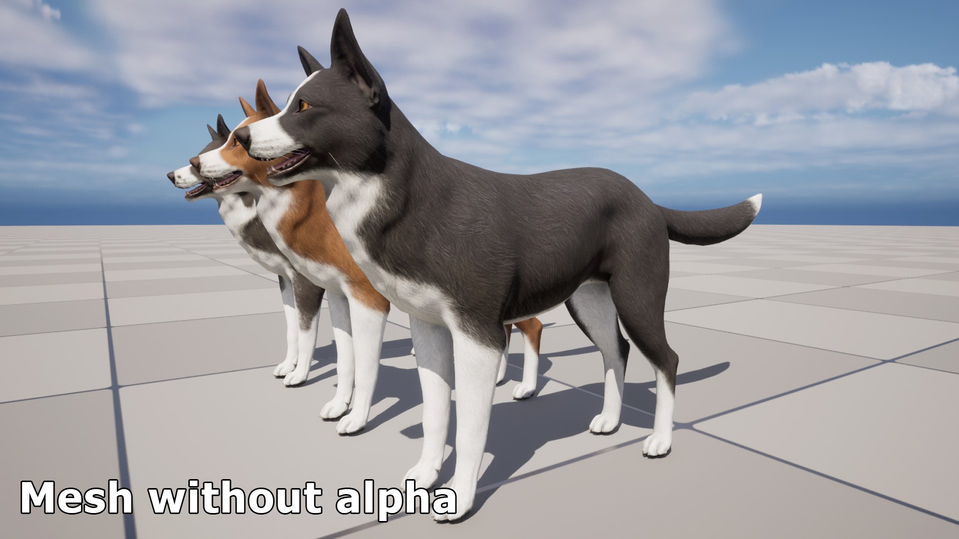 Dog - Border Collie 2 3D model https://p.turbosquid.com/ts-thumb/Qx/6LUTIl/Zy/9/png/1682170227/1920x1080/fit_q87/bb4bc685f5982735307f6e48e50091464608e8b8/9.jpg