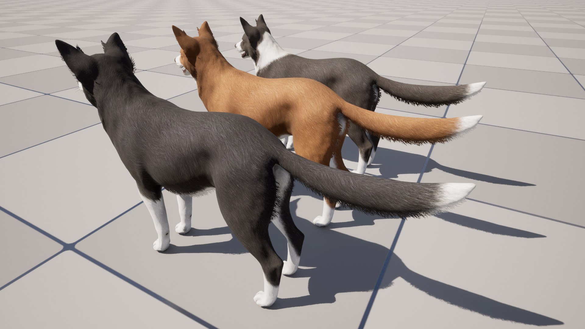 Dog - Border Collie 2 3D model https://p.turbosquid.com/ts-thumb/Qx/6LUTIl/yK/6/png/1682170222/1920x1080/fit_q87/851583dde6add3d9aad872b1575712aa770f9631/6.jpg