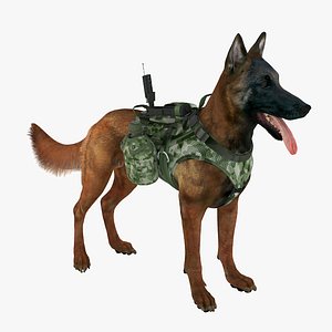 3d model military shepherd dog 1