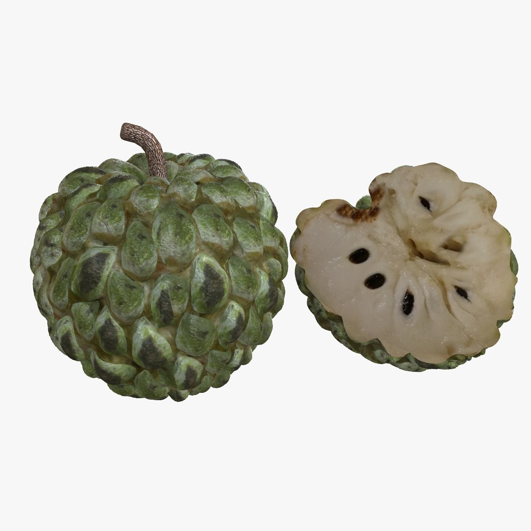 apple sugar 3D model https://p.turbosquid.com/ts-thumb/Qx/HjrJni/pmEO7NHi/sugarapple/jpg/1586875402/1920x1080/fit_q87/300306055cdf422e818d5ae9054eb9749f259ea6/sugarapple.jpg