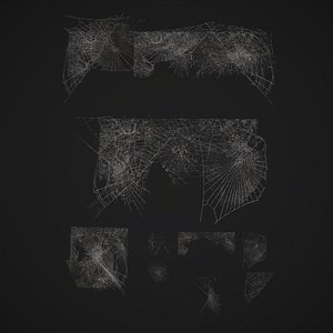 Spider Webs