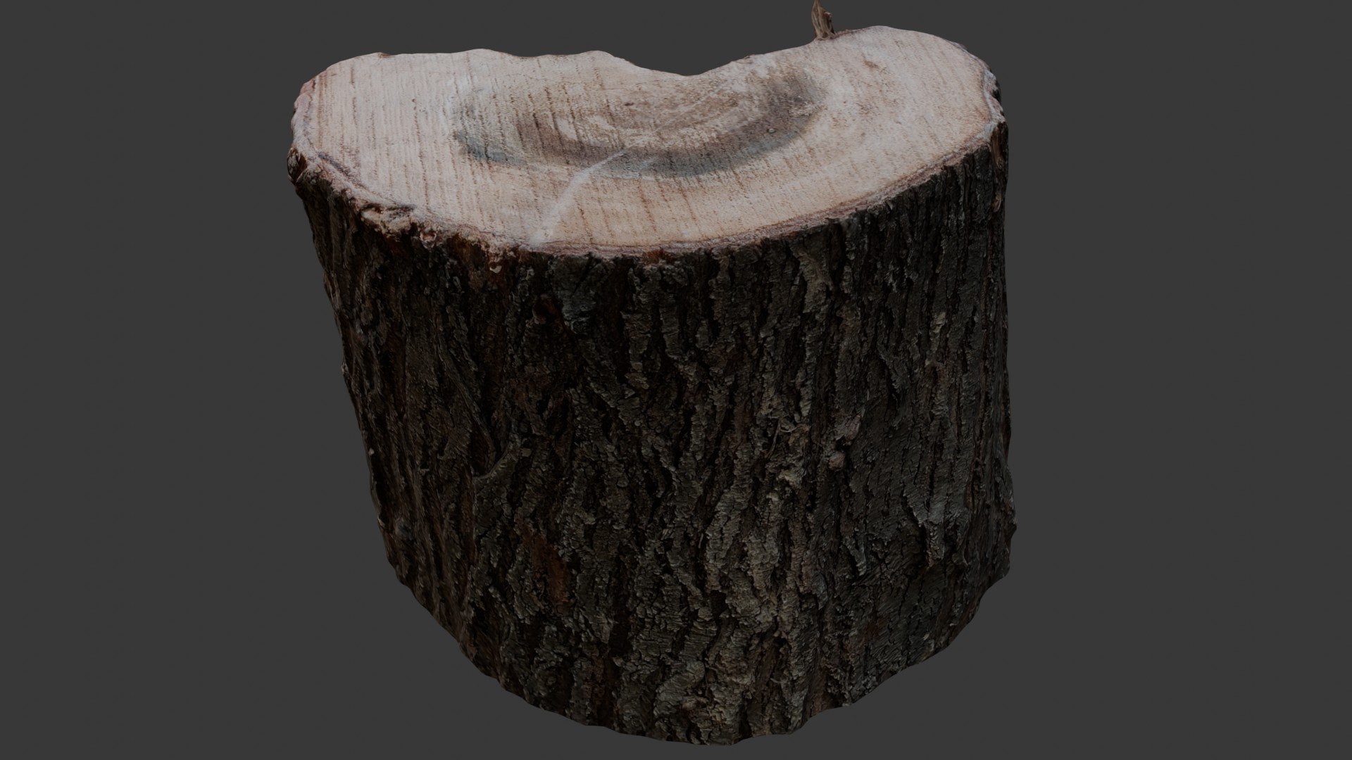 Tree Log 3D Scan Model - TurboSquid 2404853