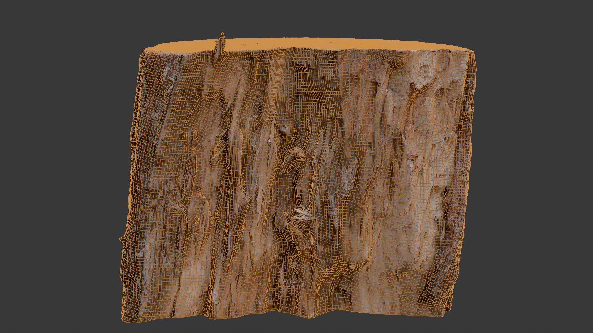 Tree Log 3D Scan Model - TurboSquid 2404853