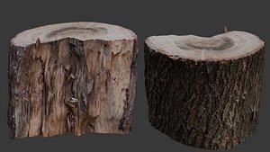 Tree Log 3D Scan model