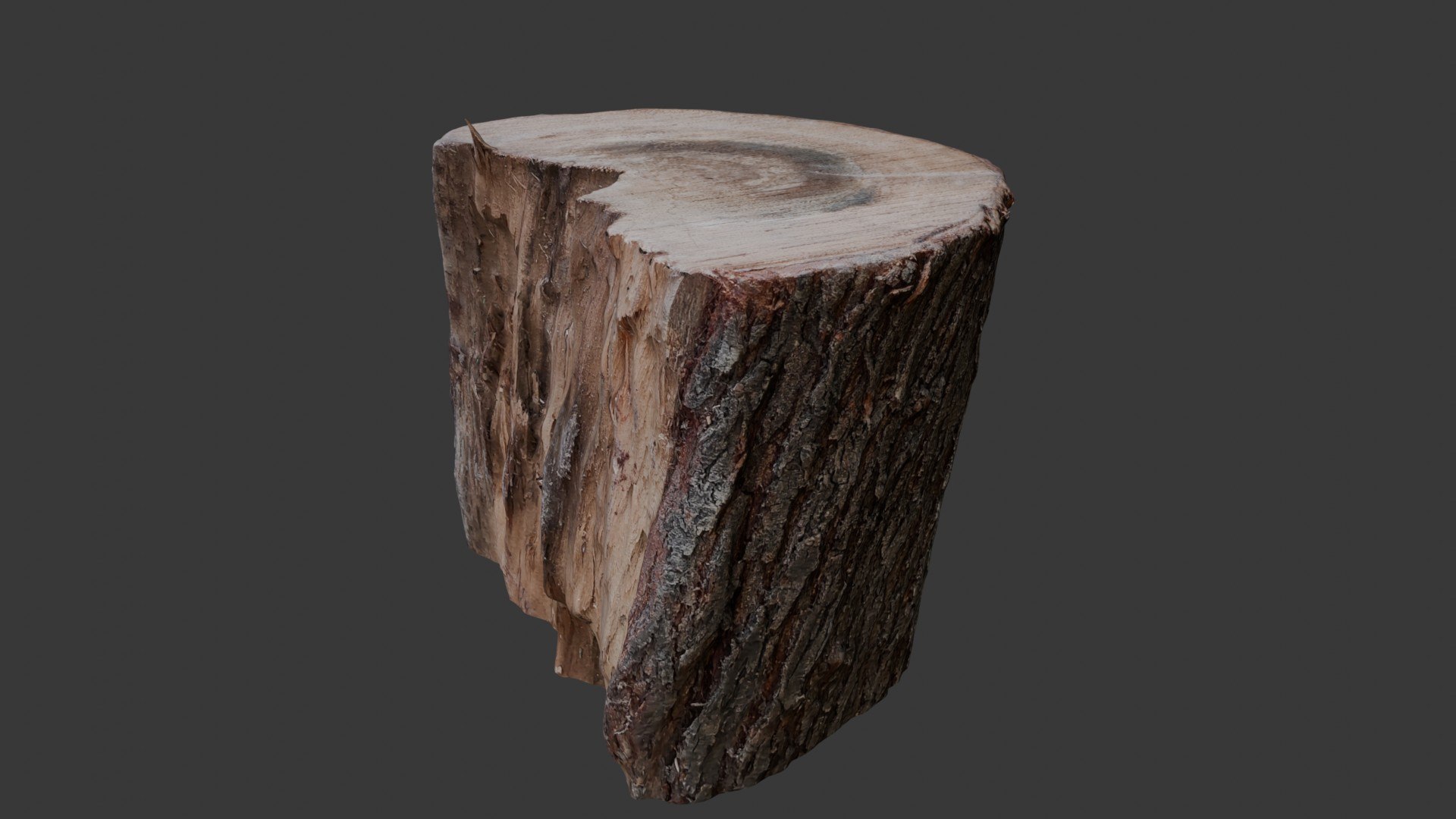 Tree Log 3D Scan Model - TurboSquid 2404853