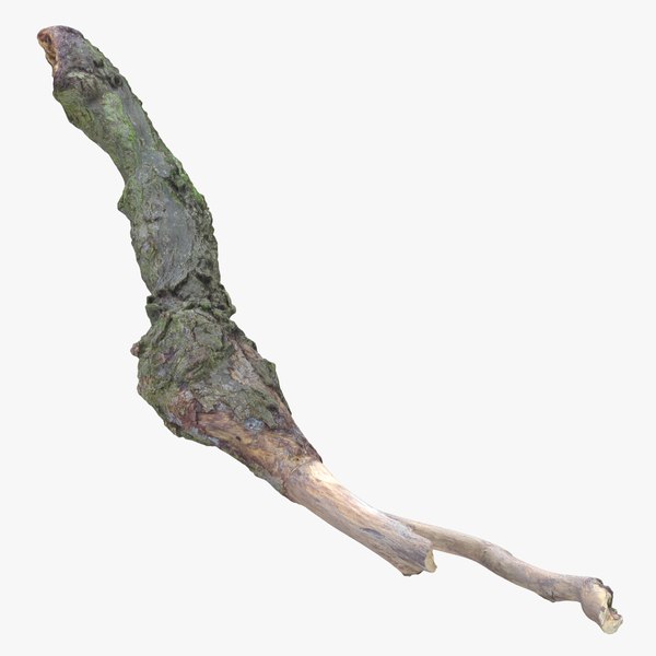 3D Fallen Branch 01 model