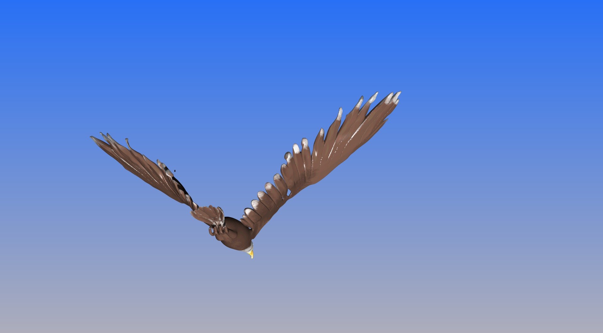 bald eagle obj https://p.turbosquid.com/ts-thumb/Qx/c4rSYK/099aSw36/e14/jpg/1459215424/1920x1080/fit_q87/809b268aa8b65331a8c2af54a95c2c6e16f65022/e14.jpg
