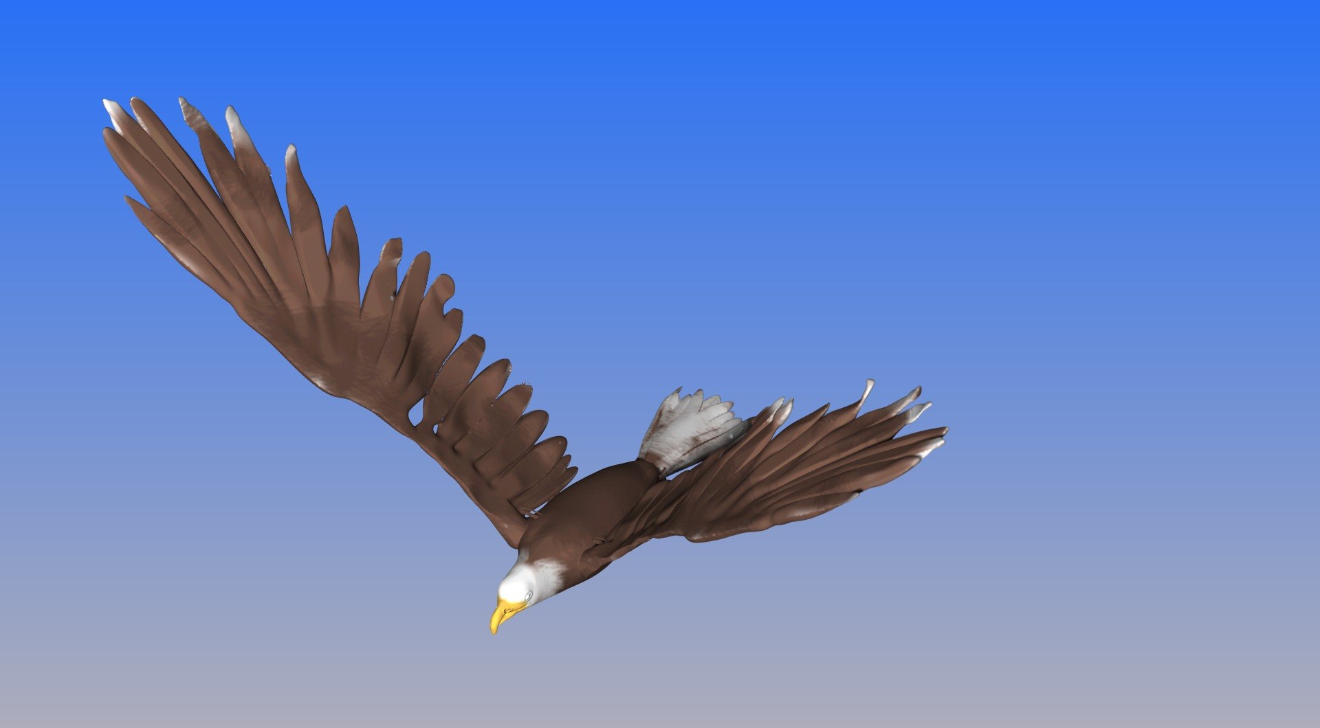 bald eagle obj https://p.turbosquid.com/ts-thumb/Qx/c4rSYK/4LGh40Dk/e4/jpg/1459215424/1920x1080/fit_q87/a26f89526e23634d0318149db5e4b6750a552f24/e4.jpg