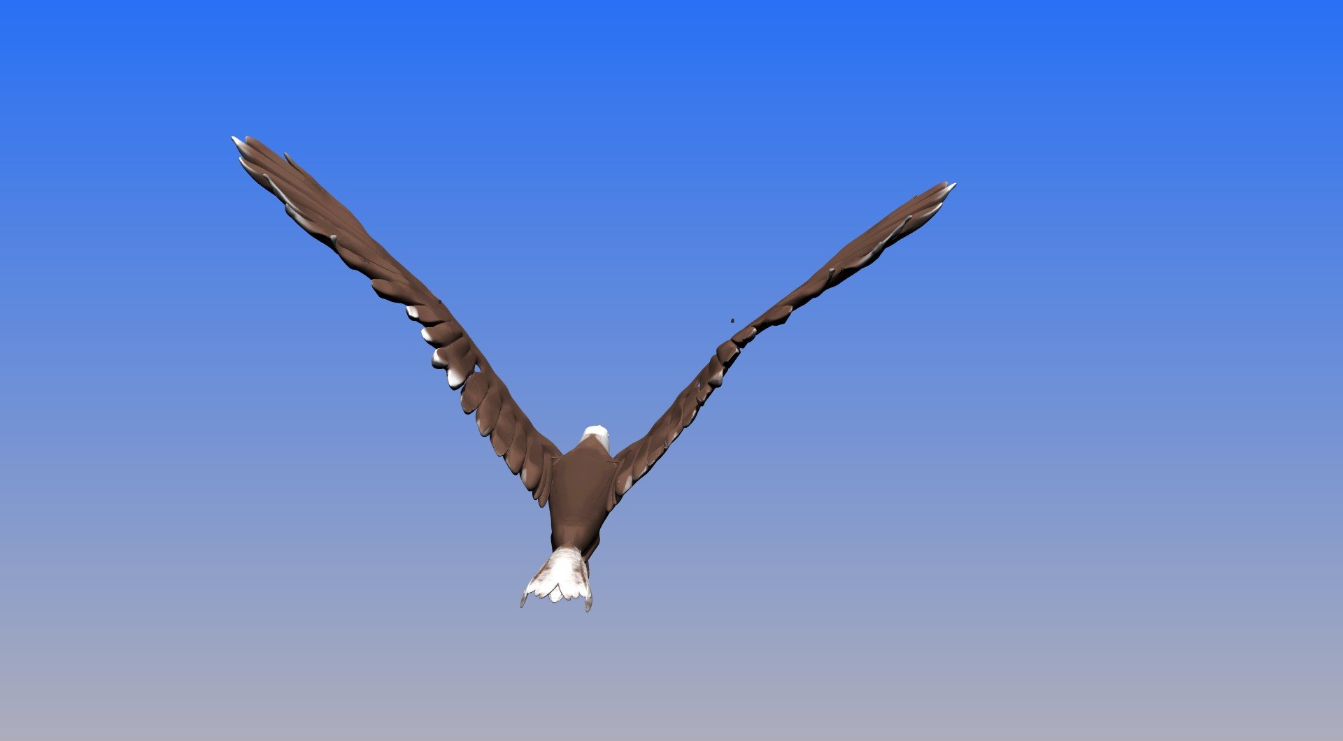 bald eagle obj https://p.turbosquid.com/ts-thumb/Qx/c4rSYK/ZJGKAT0E/e13/jpg/1459215424/1920x1080/fit_q87/9b6db38b0f1363fac3b9c71456ac5bb76ea038b3/e13.jpg