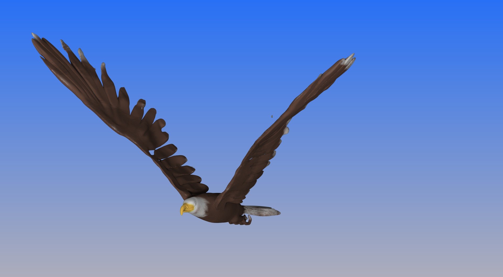 bald eagle obj https://p.turbosquid.com/ts-thumb/Qx/c4rSYK/oJVAvggt/e3/jpg/1459215424/1920x1080/fit_q87/fa7584b15c35d5de277eec7668685fa72b7ed25d/e3.jpg