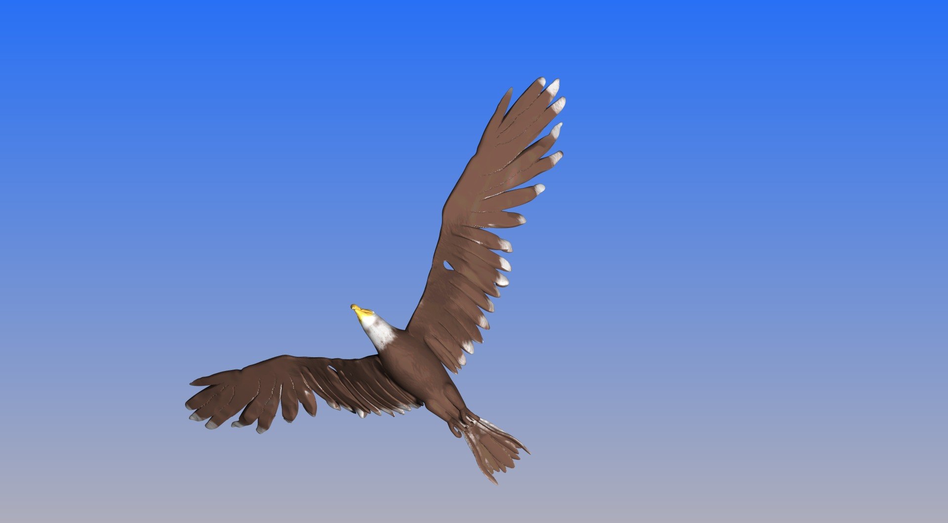 bald eagle obj https://p.turbosquid.com/ts-thumb/Qx/c4rSYK/oVFqXLLm/e11/jpg/1459215424/1920x1080/fit_q87/9c5f1d1a1ae7c429de949ce6c187d2afe91c8e93/e11.jpg