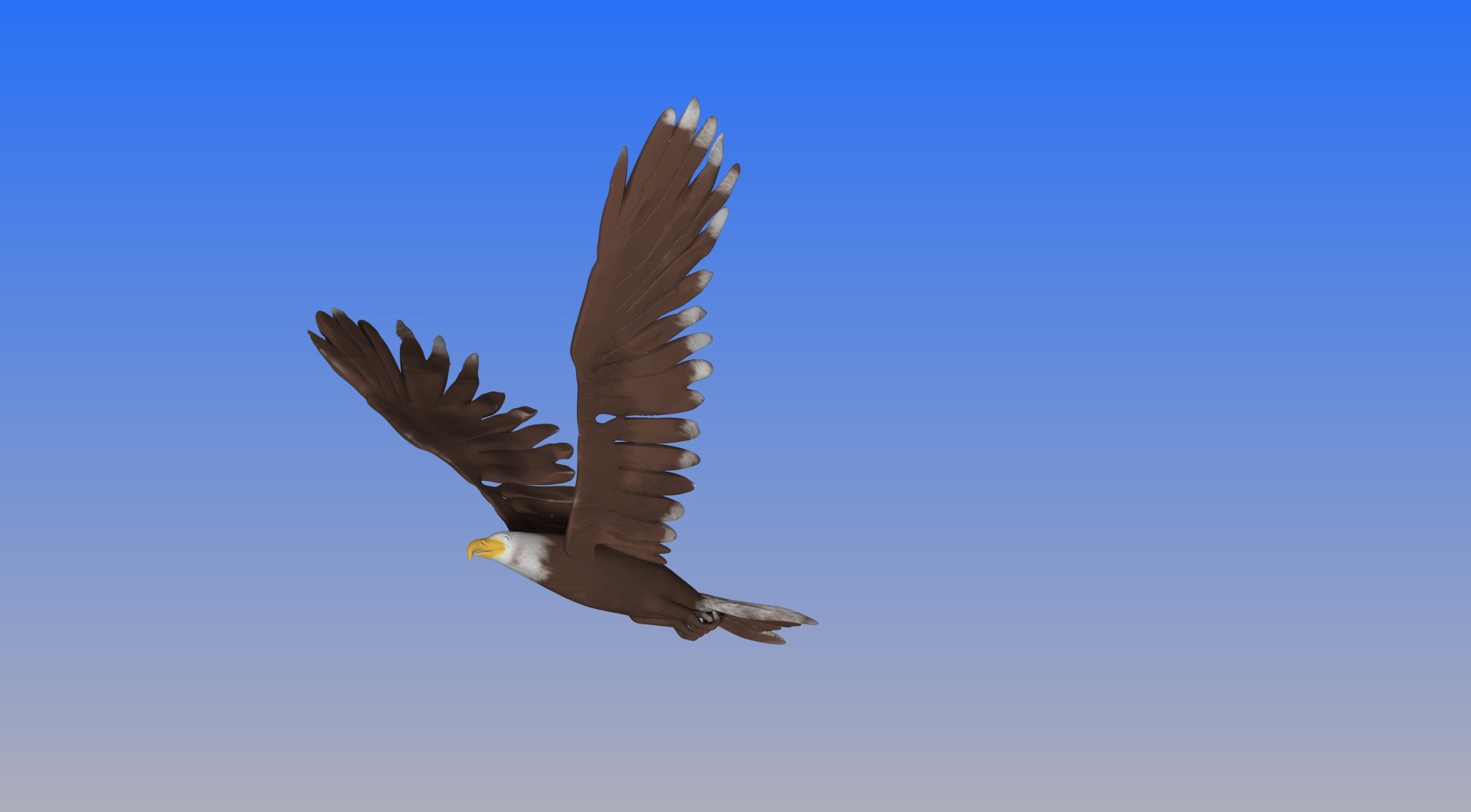 bald eagle obj https://p.turbosquid.com/ts-thumb/Qx/c4rSYK/qQ01K1gR/e2/jpg/1459215424/1920x1080/fit_q87/d5cec990b4694b9510bc397de0a03cf0893dd543/e2.jpg