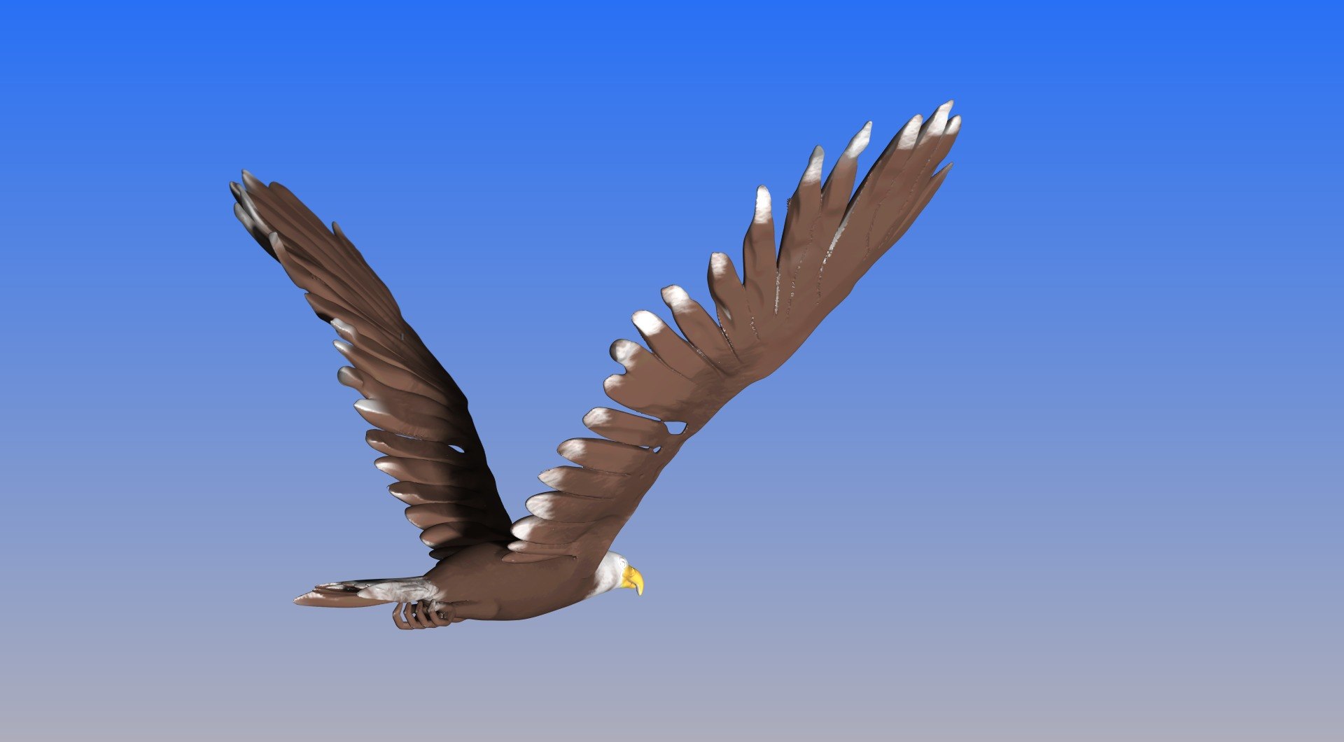 bald eagle obj https://p.turbosquid.com/ts-thumb/Qx/c4rSYK/uFrn89tn/e8/jpg/1459215424/1920x1080/fit_q87/919a3a177557db6b6eb3a93eaa743decf36549be/e8.jpg