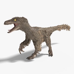 3D velociraptor feathers rigged