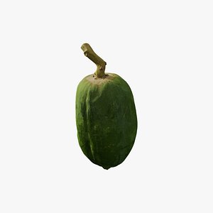 3D Anydrafts Carica papaya 01 model