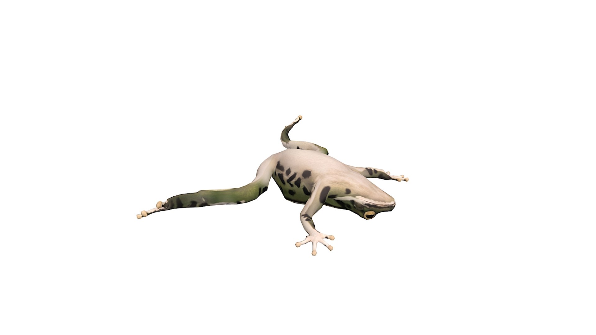 3D frog https://p.turbosquid.com/ts-thumb/Qy/9dzBAq/jl/z007/jpg/1705150238/1920x1080/fit_q87/90152eff960adda6ce9aa5e3cae3270d9ceee1b0/z007.jpg