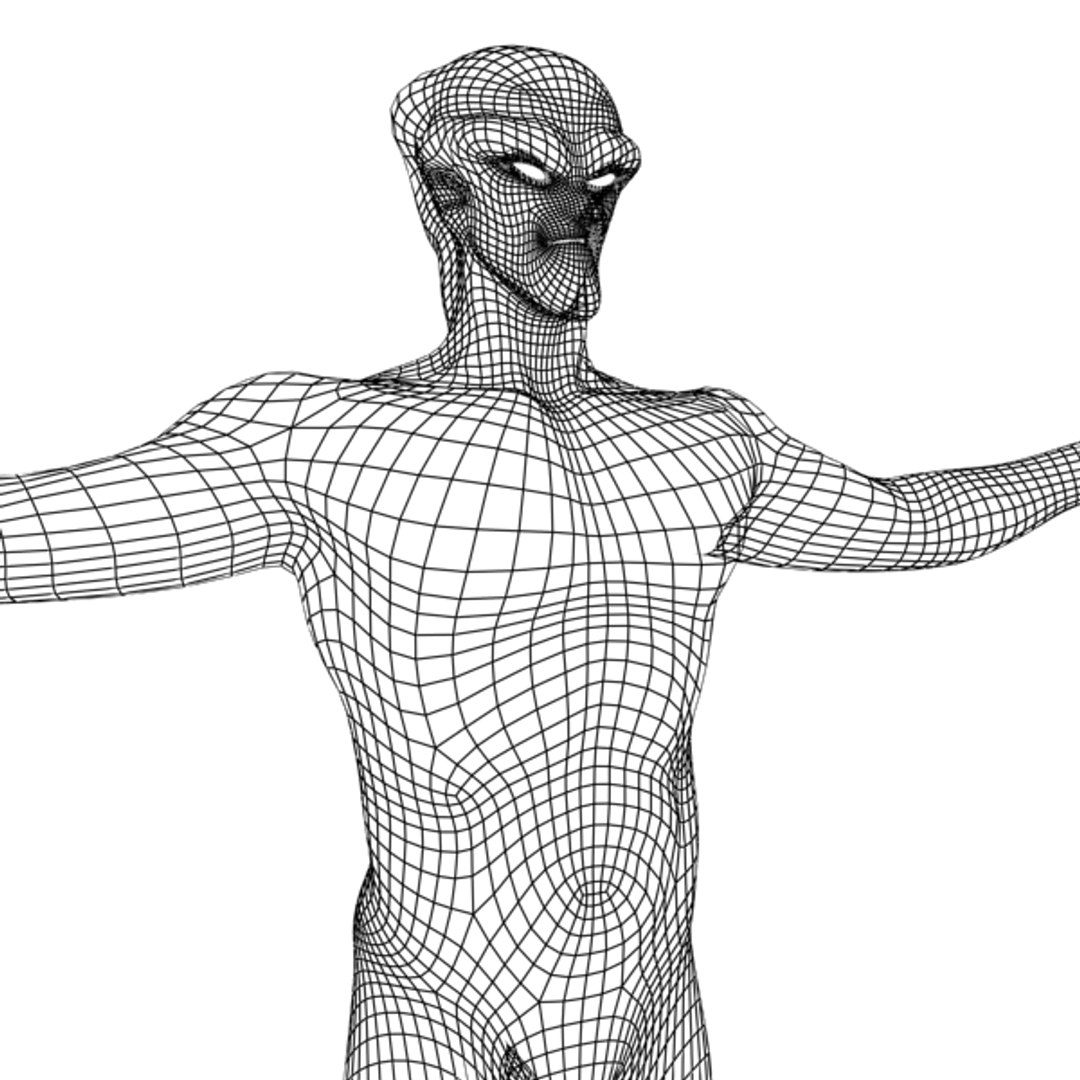 3d 5 Base Meshes Model