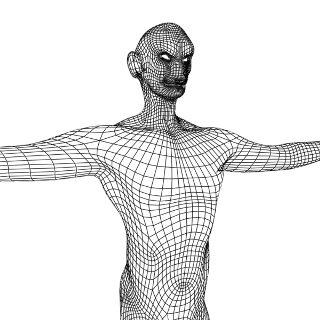 3d 5 Base Meshes Model