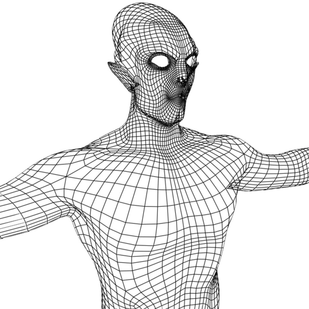 3d 5 Base Meshes Model