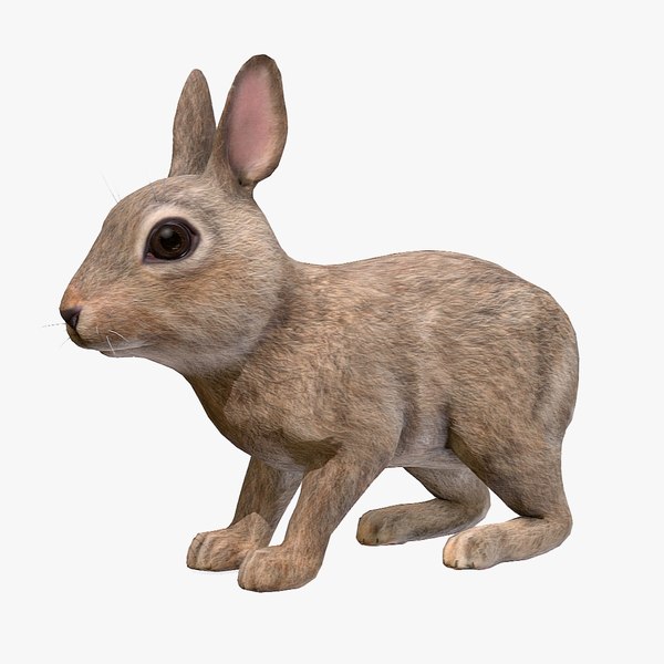 3D model Bunny