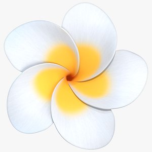 Realistic Plumeria 3D Model - High-Quality 4K PBR Asset 3D model