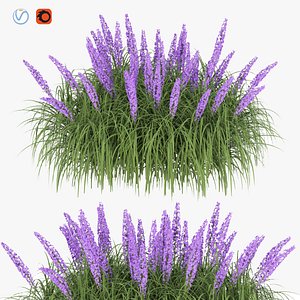 flowering bushes vol 31-3dmodel