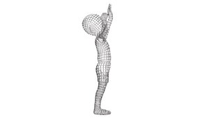 human  Wireframe